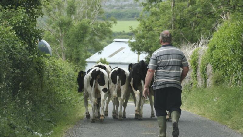 Farmer matchmaking service proves popular
