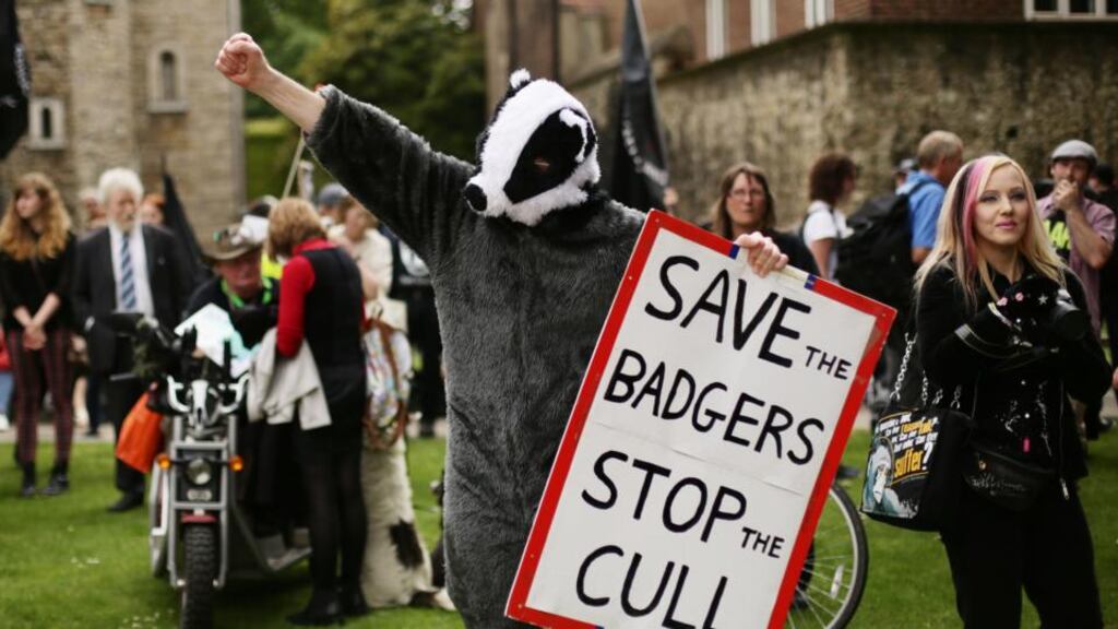 Protesters demonstrating in London. In farmers’ eyes, animal rights activists feel sympathy for the badgers culled in Gloucestershire and Wiltshire in a trial last year, but none for them or  their stock. Photograph: PA