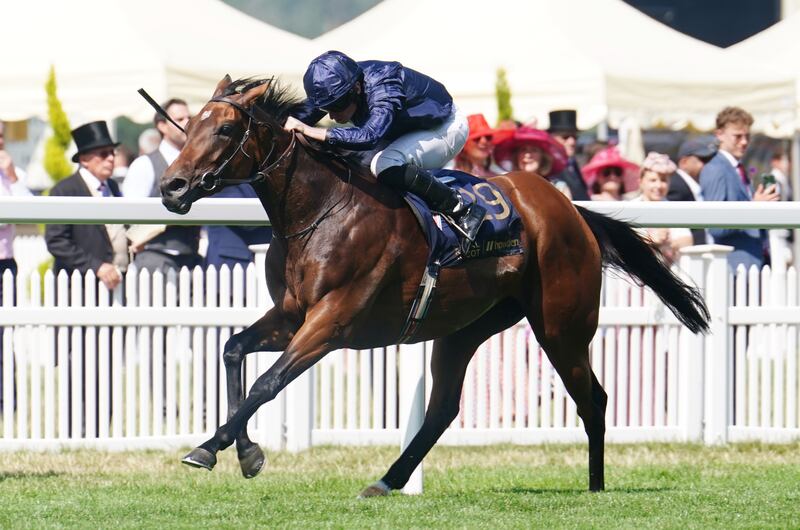 Warm Heart ended her racing career on a perfect note in the $1 million Pegasus World Cup at Gulfstreap Park after another fine ride from Ryan Moore. Photograph: David Davies/PA Wire.
.