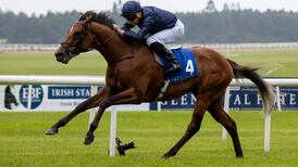 Aidan O’Brien keeps the faith in City Of Troy as he bids for 10th Derby success