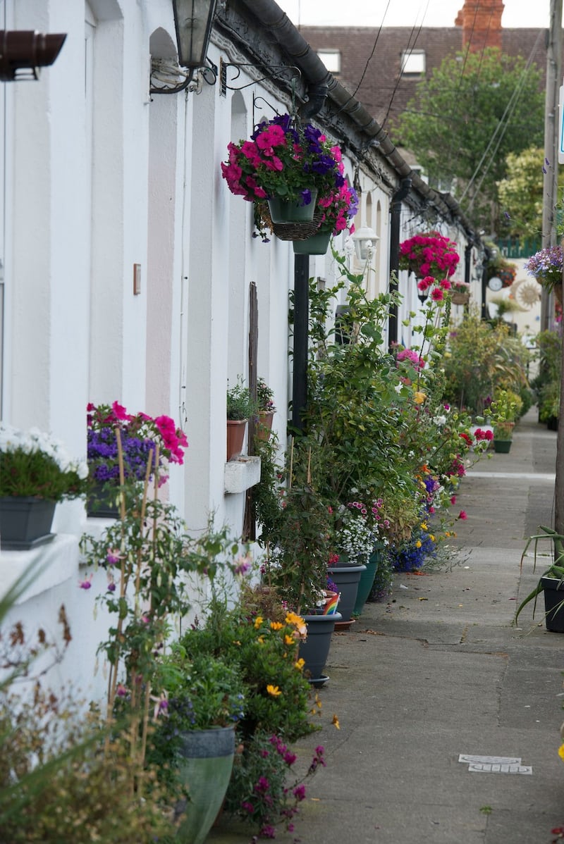Rialto Cottages, Dublin 8. Photograph: Dave Meehan/The Irish Times