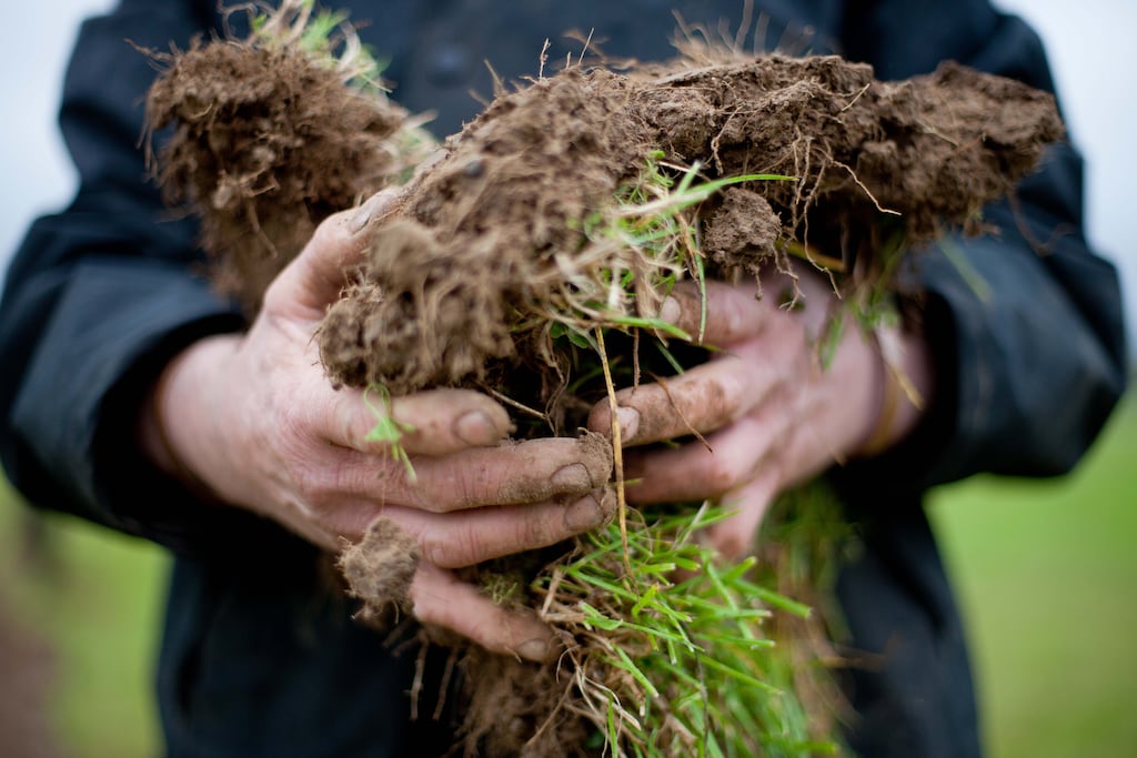 Soil health is crumbling, if current trends continue, 90 per cent of the Earth’s soils will face substantial degradation by 2050. Photograph: Tom Honan