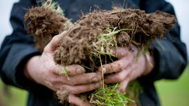 Life had drained from a farmer’s soil. He asked for advice - and nature has made a return