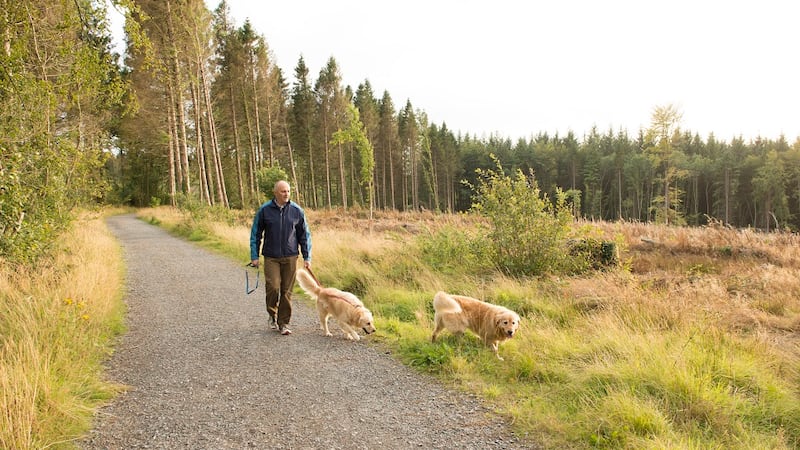 When the pandemic and subsequent lockdowns came into effect Seamus Gray found he had much less use for his car and walking began to take a much more prominent role. Photograph: Getty Images