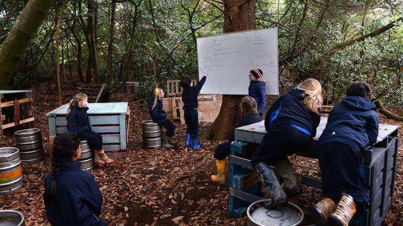 John Scottus. Photograph: Dara Mac Dónaill