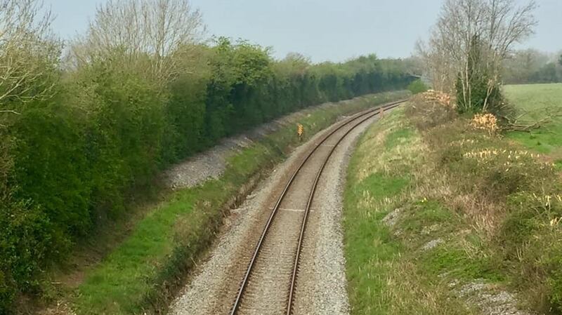 Hedges and trees along the Dublin to Galway rail line in Co Offaly before their removal by Irish Rail. Photograph: Pippa Hackett