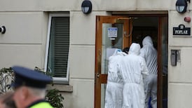 Teenager dies following serious incident at emergency care facility in north Dublin