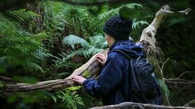 Forest bathing in Wicklow: No swimsuit required