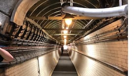 Tunnel vision – Frank McNally gets a tour of Guinness’s brewery