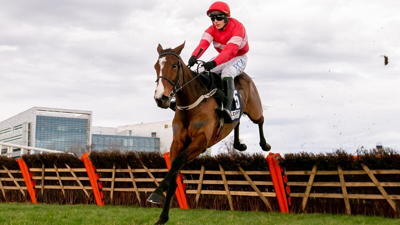 Stormy Ireland scored under Patrick Mullins at Leopardstown. Photograph: Morgan Treacy/Inpho