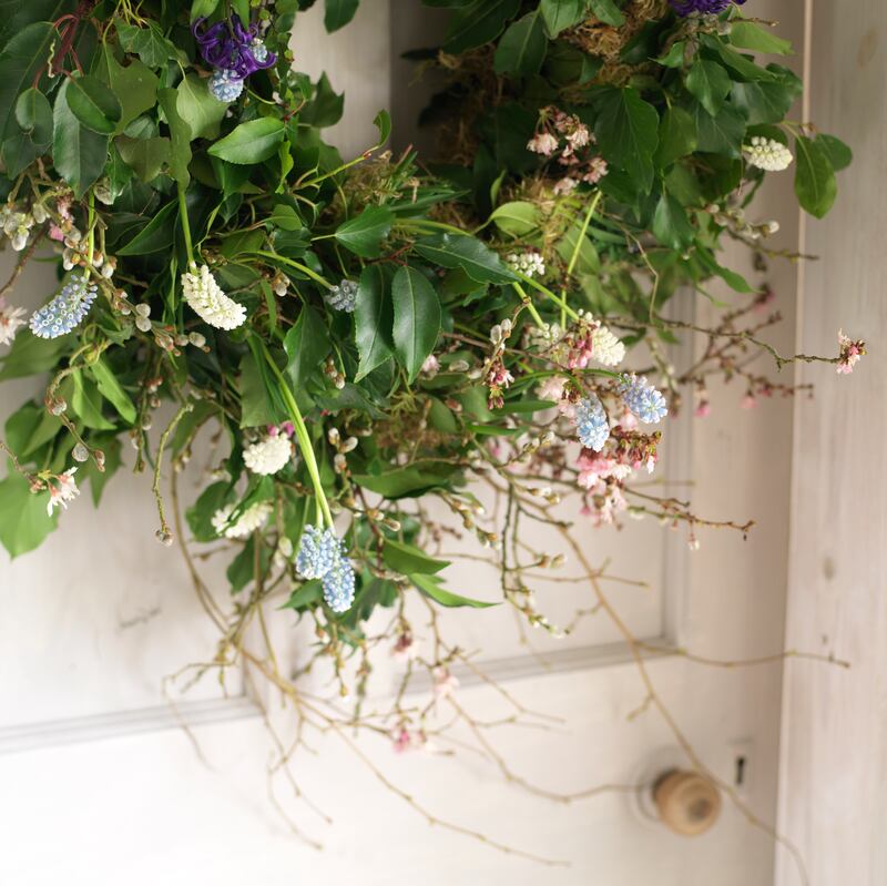 Photograph: Richard Johnston