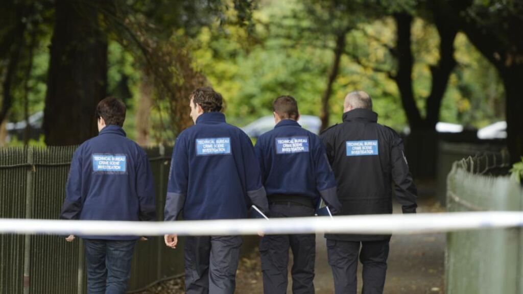 Members of the Gardai Technical Bureau at the scene in the Phoenix Park where Gerard Donnelly was found dead on November 29th, 2013. Photograph: Alan Betson/The Irish Times.