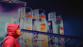 Why do tech giants allow anti-vaxx content? It’s the revenue, stupid