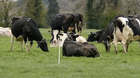 John FitzGerald: Food processing has been good for Irish farmers