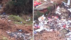 Council investigates illegal dumping at Kerry beauty spot