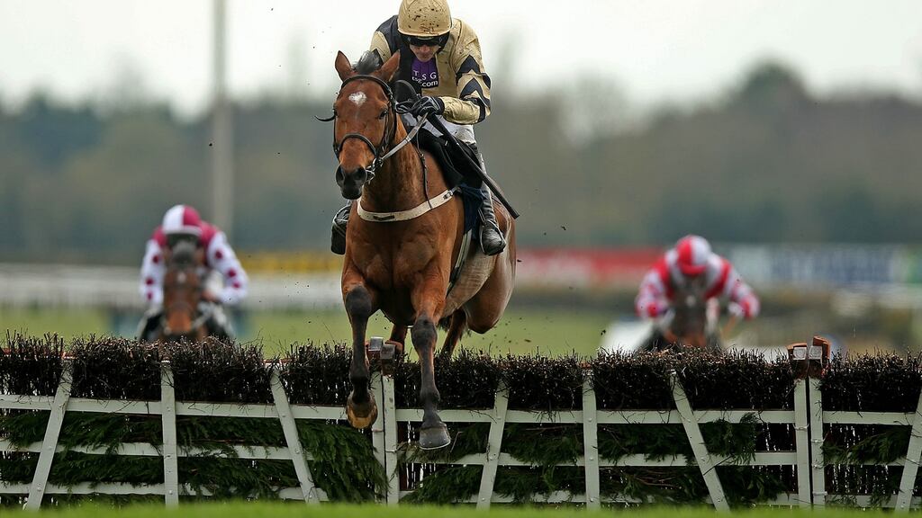 Shaneshill made a winning chasing debut at Thurles on Thursday. Photograph: Inpho