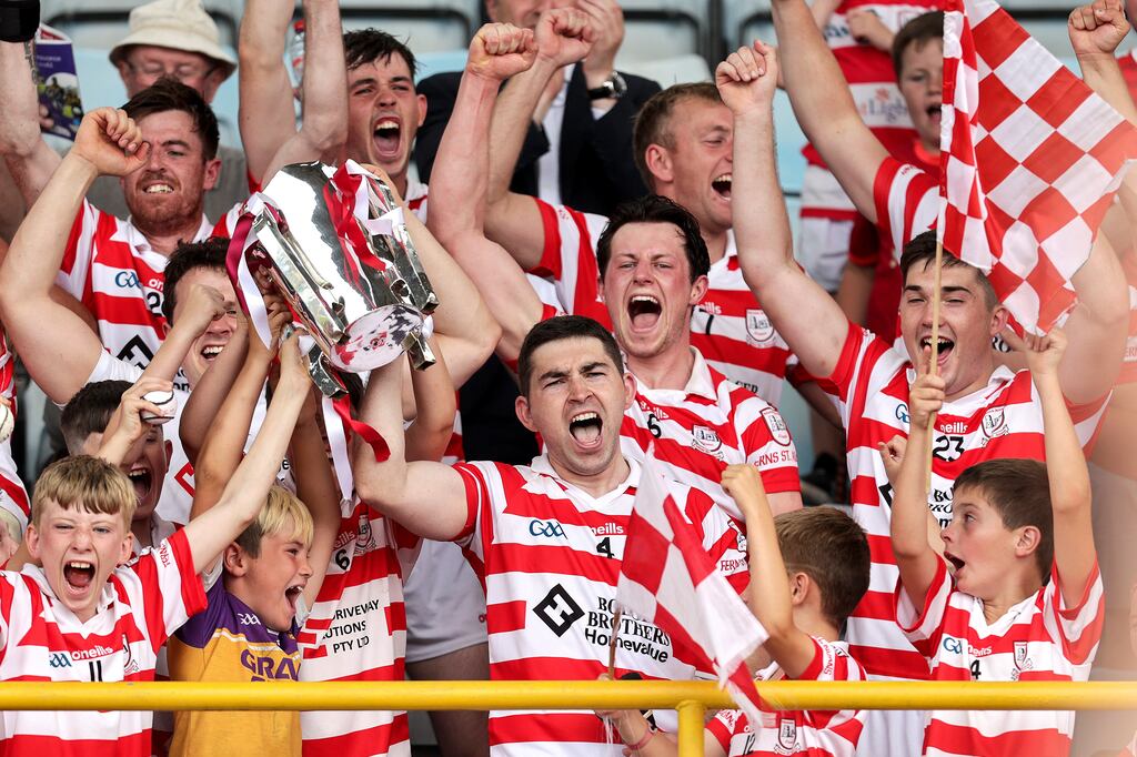 Wexford Senior Club Hurling Championship Final, Wexford Park, last year when St Martin's played Ferns St Aidan's. Lifting the trophy is Ferns St Aidan's Declan Byrne.
File photograph: Laszlo Geczo/Inpho