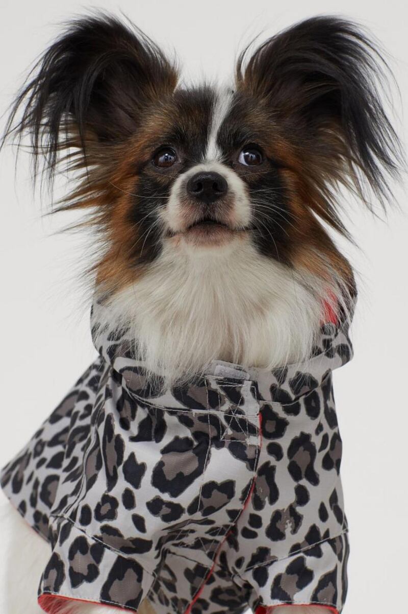 Reflective dog jacket from H&M