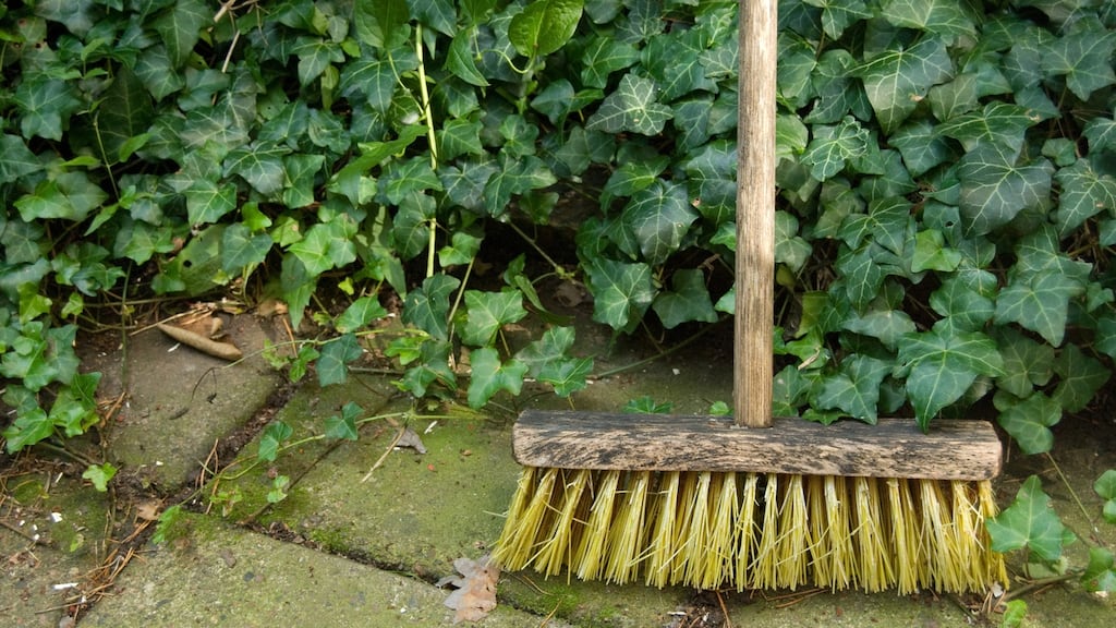 “I saw he had my heavy duty yard brush in his hands. I shouted at him.” File photograph: Getty Images