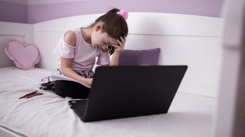 Experts agree that education plays a key role in reducing cyberbullying , but say one-off anti-bullying lessons in schools have a limited impact. Photograph: iStock