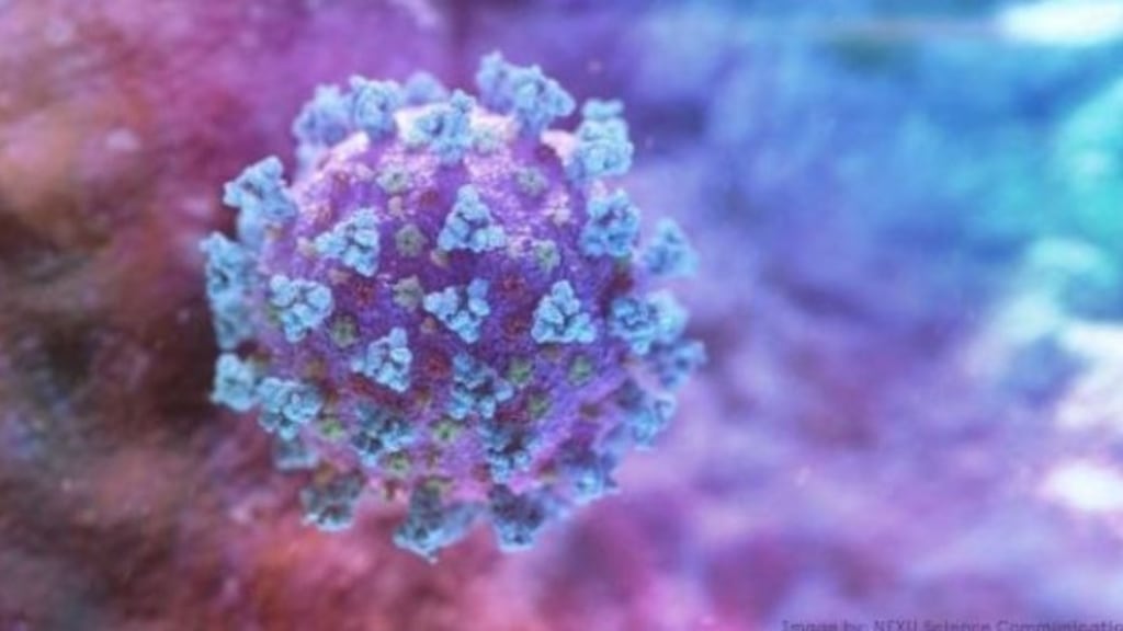 Nphet modelling predicts a sharp rise in Covid cases over the next two weeks