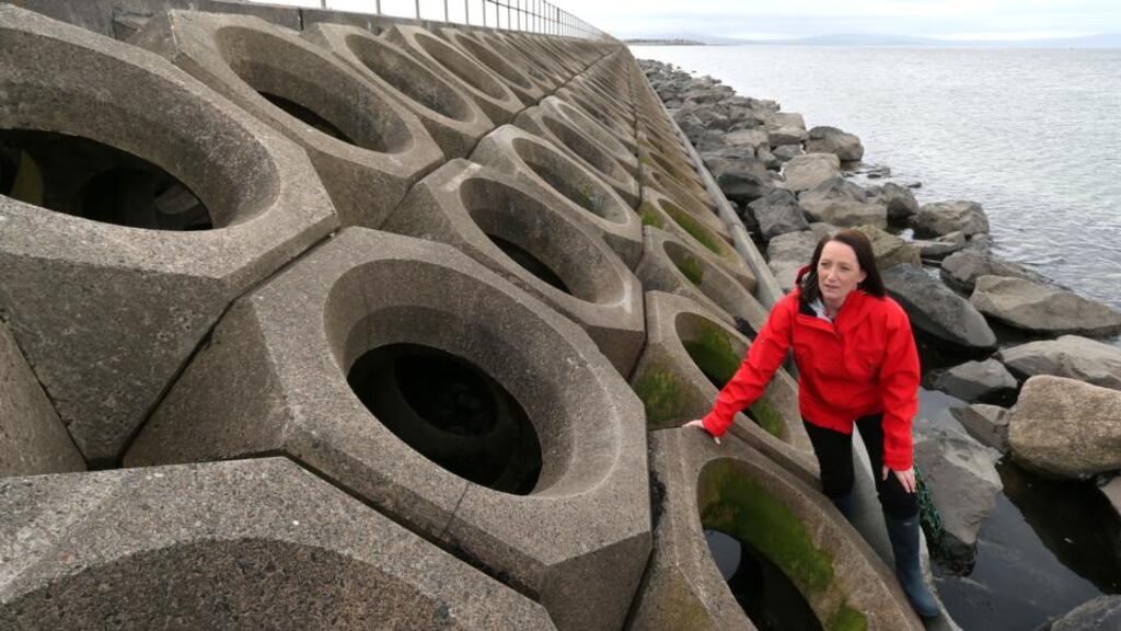 Sea change: Louise Firth experimented on the Mutton Island causeway. Photograph: Joe O’Shaughnessy