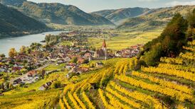 Austrian wine: A little bit of everything