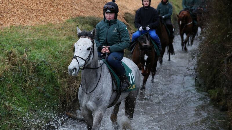 Duc Des Genievres during the visit to Willie Mullins’ stables in Closutton. Photograph: Brian Lawless/PA Wire