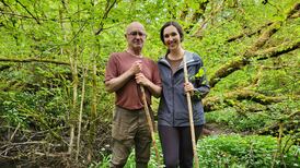 Gearagh native forest: the case for making it Cork’s first national park