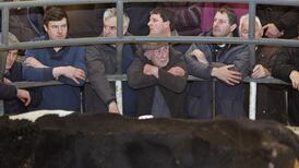 Taking voter temperature in Longford and Sligo: lukewarm for Varadkar