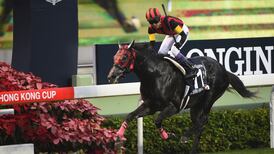 Royal Ascot: A Shin Hikari’s plunder of Europe set to continue