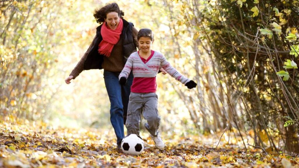 It is not true as some commentators have suggested that anyone can become a guardian, and court applications for the appointment of a guardian are often accompanied by intense scrutiny of the guardian’s credentials and suitability (including Garda vetting) by the judge and the parties to the proceedings