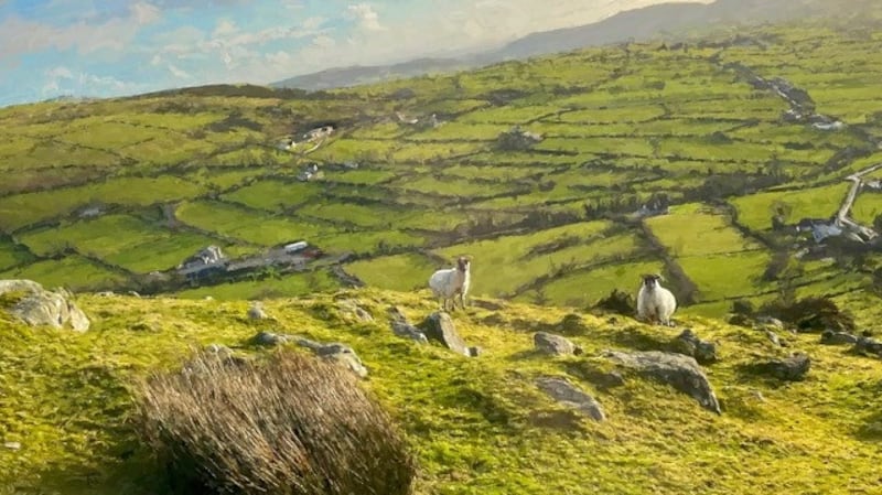Sheep on Dechomet Mountain