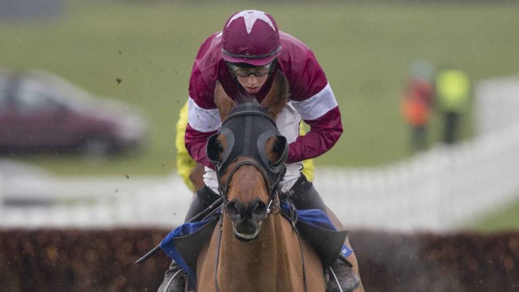 Rogue Angel staged a late rally to win the Guinness Kerry National in Listowel. Photograph: Morgan Treacy/Inpho