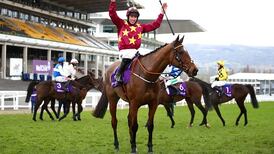 Leopardstown potential next destination for Minella Indo