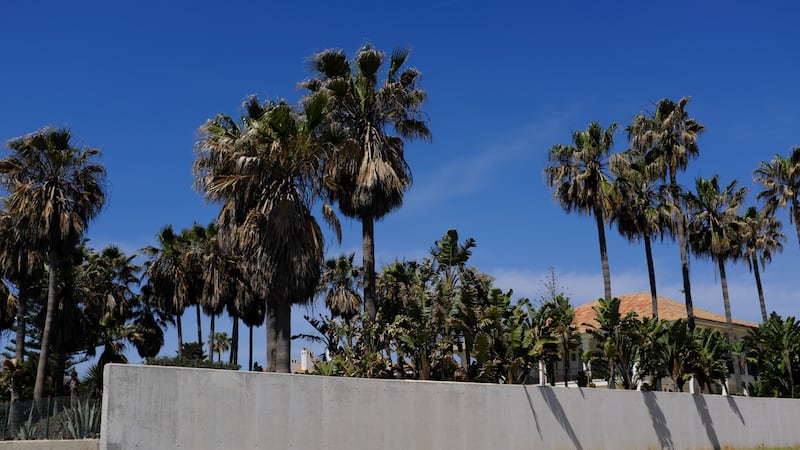 Holytown Ltd was incorporated in 1998 for the sole purpose of owning a single unlet property in Estepona, Spain, according to documents in the Companies Registration Office in Dublin