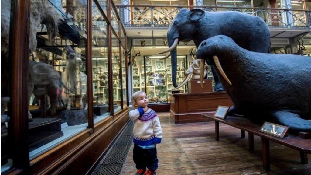 The plan indicates that €15 million is being spent on the Natural History Museum on Merrion Square West, described. Photograph: Brenda Fitzsimons/The Irish Times