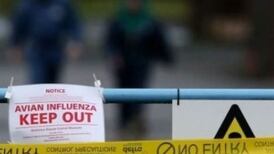 Bird owners must keep birds in secure buildings to curb spread of bird flu