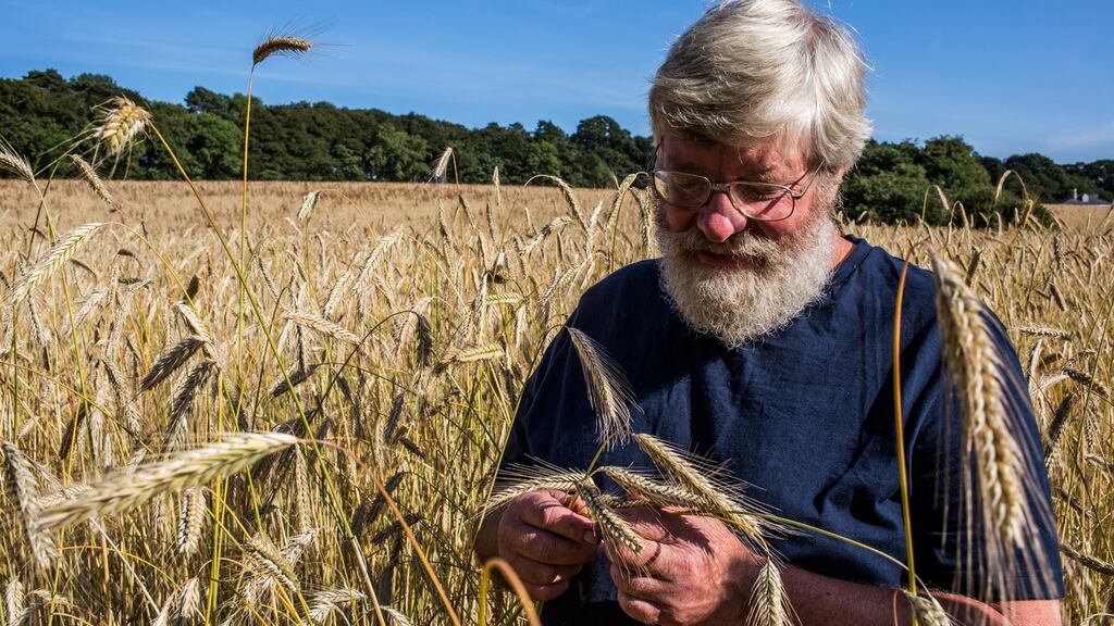 Andrew Workman: “Farmers in Ireland can produce flour that will make a great yeast loaf. It will be quite a bit denser than French or Italian bread, but it tastes great.” Photograph: James Forde