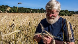 Our daily bread: Ireland’s grain growers and millers