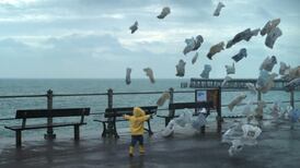 Ikea’s ‘Joy of Storage’ ad turns neatness into catharsis