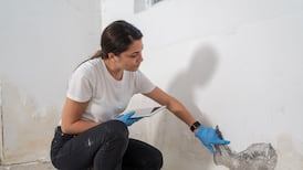 Owners of property to rear of mine removed its roof - resulting in mould on my wall. What can I do?