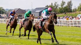 Irish trainers worried Royal Ascot will come too soon