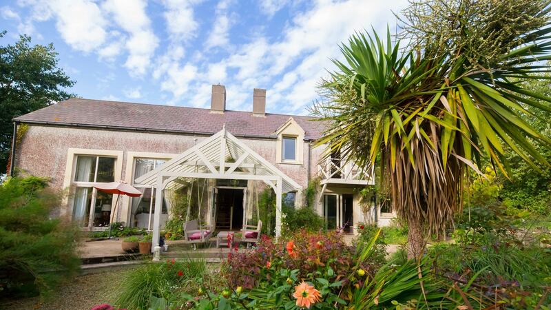 Liz Fitzgerald’s garden. Photograph: Patrick Browne