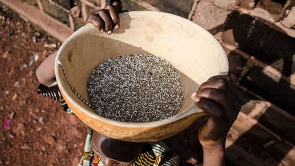 Ireland requires a comprehensive national food and nutrition policy to continue Irish leadership in tackling global undernutrition. Photograph; Getty Images