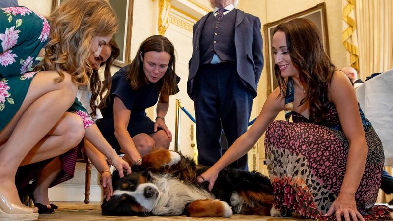 Members of the Ireland women’s hockey team playing with President Michael D Higgins’ dog, Bród, on Friday. Photograph: Morgan Treacy/Inpho