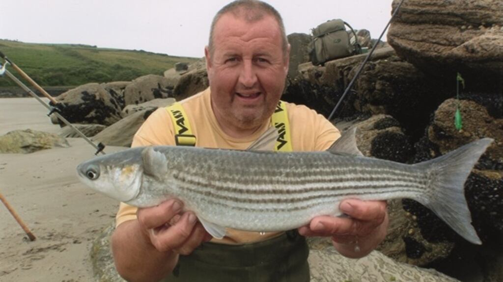 Ian Mulligan from Dublin with his record-breaking Rosscarbery golden grey mullet.