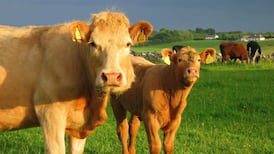 Farming interests    ‘must be protected’ in EU-US trade deal