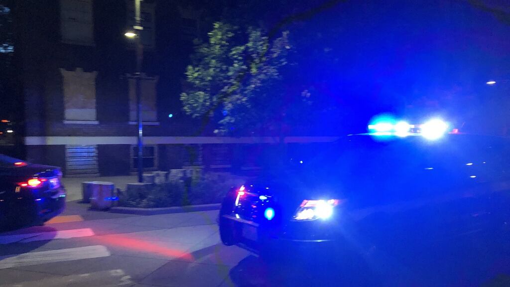 Dawit Kelete of Seattle drove the car around vehicles that were blocking I-5 and sped into the crowd about 1.40am, according to a police report released by the Washington State Patrol