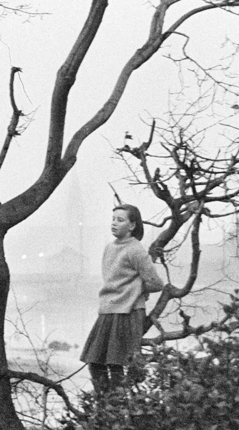 No self respecting Dubliner should be without Alen MacWeeney’s new collection